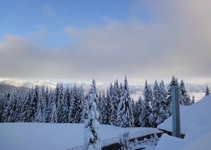 Apartament Seeblick *